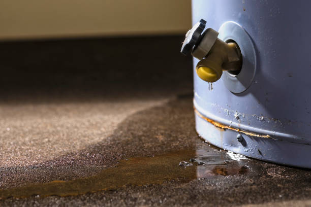 Best Flood damage cleanup  in Dalton, OH