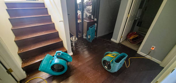 Best Water damage cleanup near me  in Dalton, OH