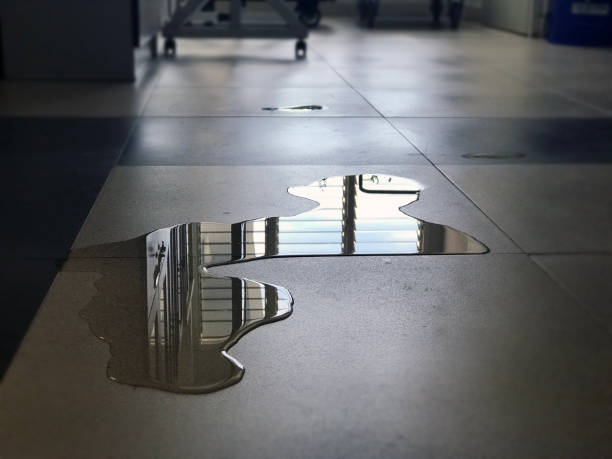 Best Water damage restoration near me  in Dalton, OH