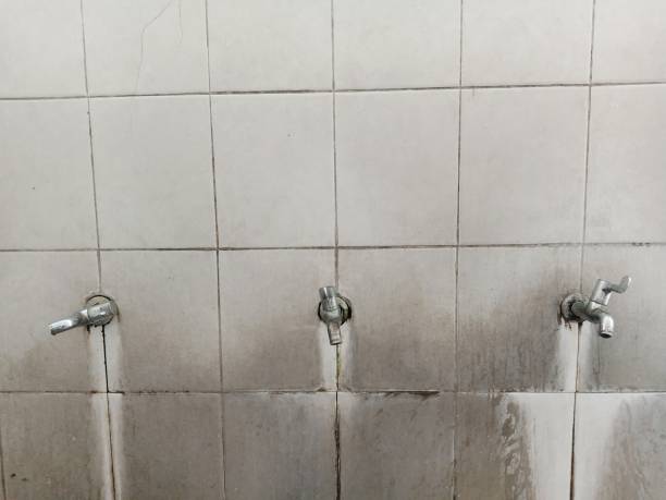 Best Water damage cleanup near me  in Dalton, OH